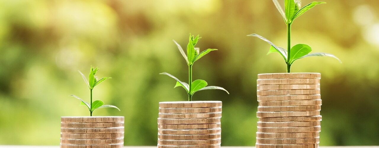 money, profit, finance, business, return, yield, financial, cash, currency, investment, banking, wealth, coin, economy, success, loan, salary, rich, credit, payment, savings, save, deposit, growth, income