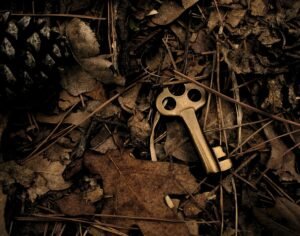 skeleton key surround with dry leaves